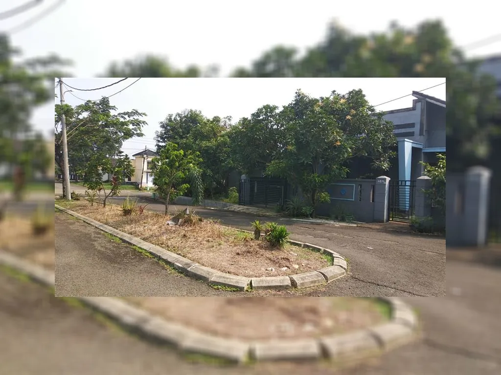 WhatsApp Image 2023-01-12 at 09.41.34.jpeg